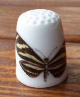 motylek